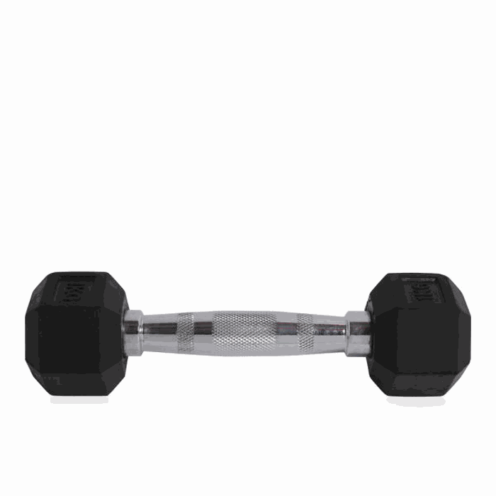 Larson Performance Dumbell Hexagonal 1kg Lapis Karet