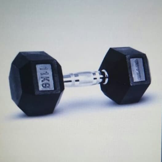 Larson Performance Dumbell Hexagonal 11kg Lapis Karet