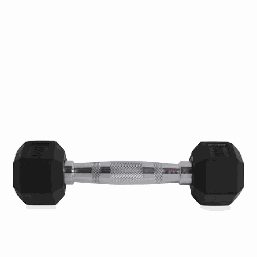 Larson Performance Dumbell Hexagonal 3kg Lapis Karet